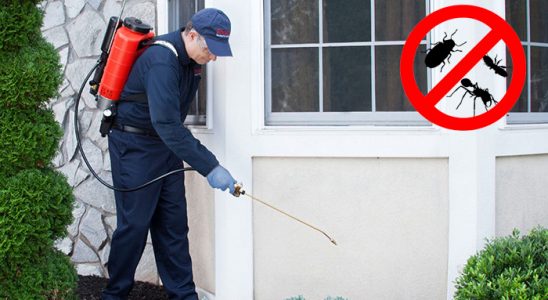 Kalecik Kene İlaçlama böcek ilaçlama ve haşere kontrolü — ilaclama-tr.com